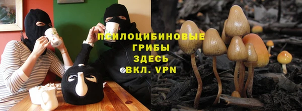 Альфа ПВП Балахна